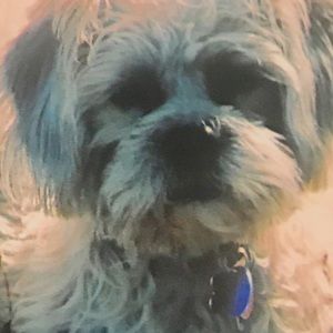 Meet your Posher, Janna